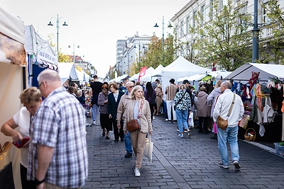 Tautų mugė 2025 / Roberto Riabovo / BNS nuotr.