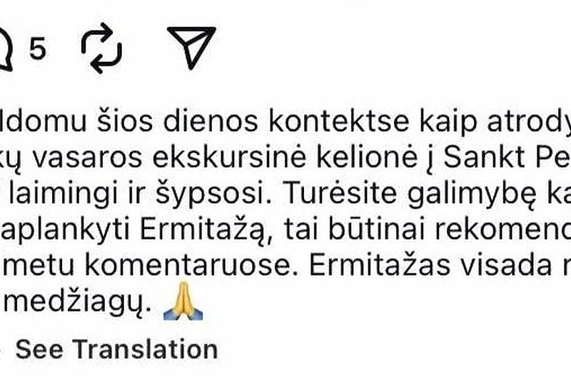 Ignoto Adomavičiaus įrašas / Ekrano nuotr.