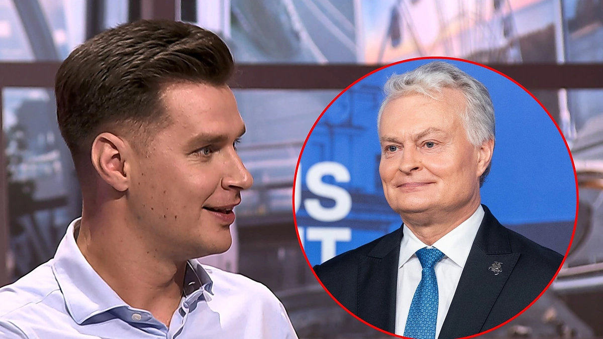 Paulius Vaitiekūnas, Gitanas Nausėda / LNK ir Roberto Riabovo / BNS nuotr.