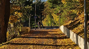 Auksinis ruduo