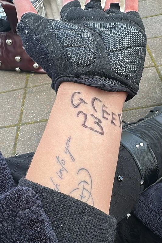 Dainiaus Frišmanto akimirka iš Lady Gagos koncerto Stokholme / Asmeninio albumo nuotr.