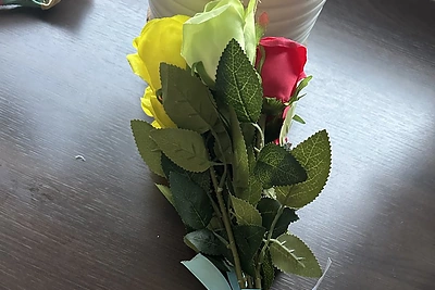 Gėlės, kurias Dainius Frišmantas norėjo įteikti Lady Gagai / Asmeninio albumo nuotr.