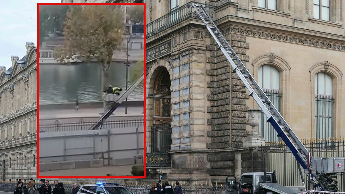 Luvras ir jo plėšikai / Scanpix nuotr. ir stopkadras