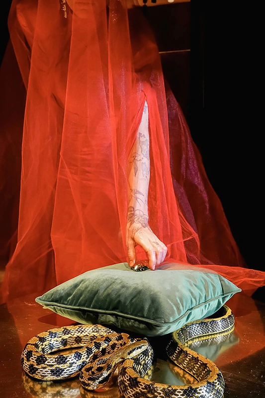 „Vilnius City Carnival“