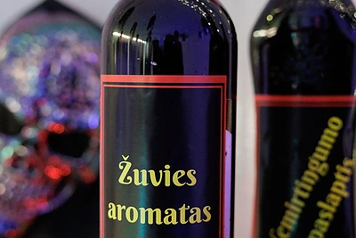 Eglės Straleckaitės-Domarkienės surengtas Helovino vakarėlis / Lino Tolkaus nuotr.