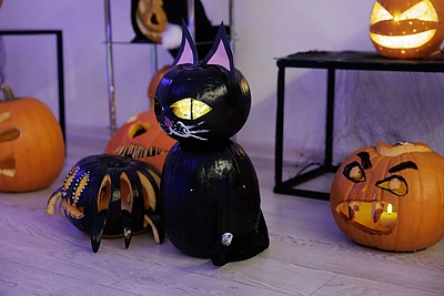 Eglės Straleckaitės-Domarkienės surengtas Helovino vakarėlis / Lino Tolkaus nuotr.