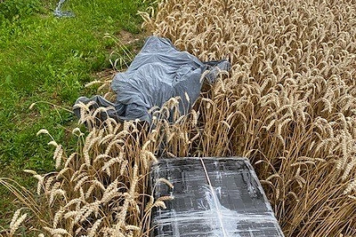 Pasieniečių perimti kontrabandiniai balionai / VSAT nuotr.