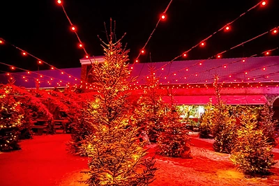 Pakruojo dvaras / Pakruojo dvaro nuotr.