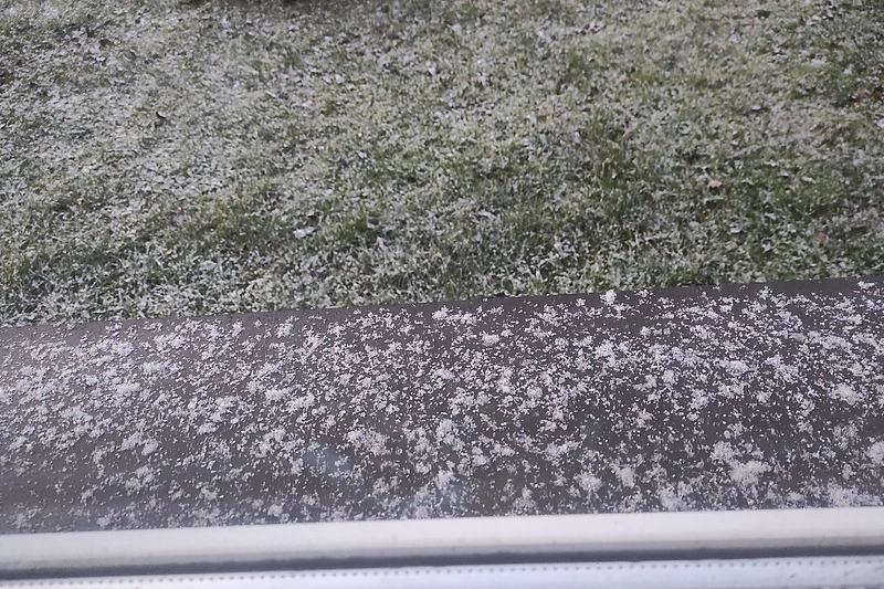 Pirmasis sniegas Mažeikių rajone / Jurgitos Konsmonienės/„Orų entuziastai“ nuotr.