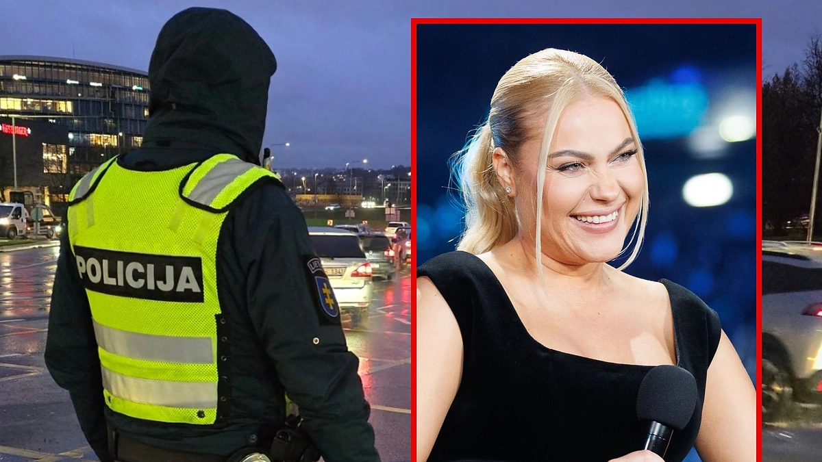 Nijolė Pareigytė, asociatyvi nuotr. / Teodoro Biliūno ir Vilniaus VPK nuotr.