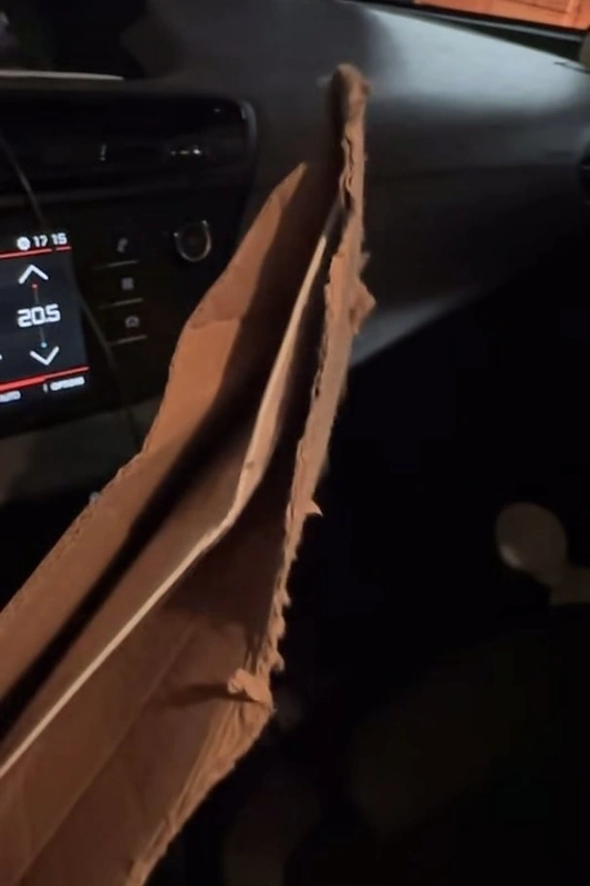 Apgadinta Vudžio siunta / Stop kadras