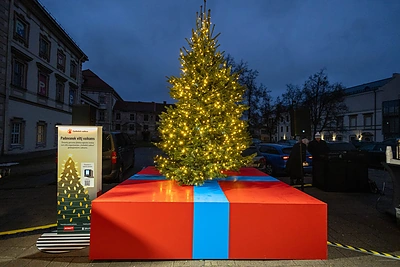 Sužibo kalėdinė Gerumo eglutė / Organizatorių nuotr.