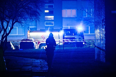 Kaimyno liudijimas: dėl merginos tragedijos Kaune – ir užuojauta, ir nerimas
