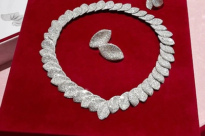 Dana Ribas pribloškė apdovanojimų įvaizdžiu: įvertintas trečdaliu milijono / Asmeninio archyvo nuotr.