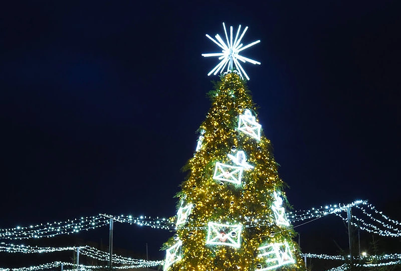 Lazdijų Kalėdų eglė / Ignė Butrimaitė nuotr.