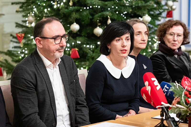 Vaida Aleknavičienė / Pauliaus Peleckio / BNS nuotr.