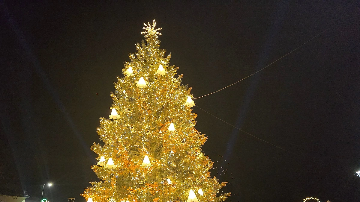 Anykščių Kalėdų eglė