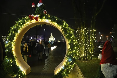 Raseinių Kalėdų eglės įžiebimas / Raseinių rajono savivaldybės nuotr.