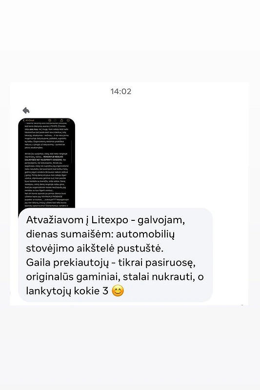 Komentaras apie didžiąją Vilniaus kalėdinę mugę / Soc. tinklų nuotr.