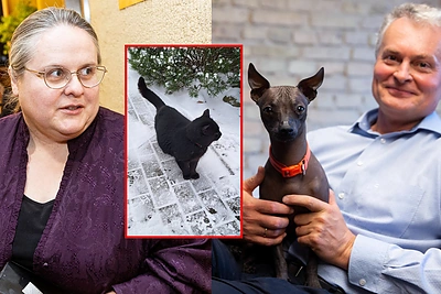 Agnės Širinskienės katinas per naktį atsidūrė dėmesio centre: „Nausėdos Grikis sugrauš kokią knygą iš pavydo“