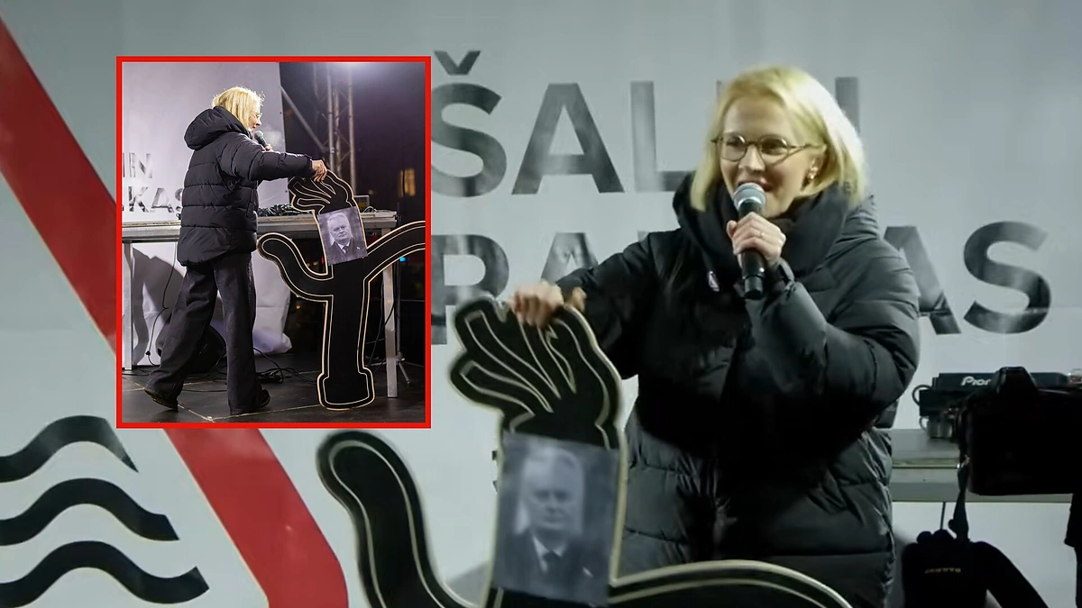 Ieva Narkutė / Stop kadras ir BNS nuotr.