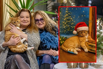 Birutės Petrikytės katinas Tigras „pakoregavo“ švenčių planus: „Kalėdos atšauktos“