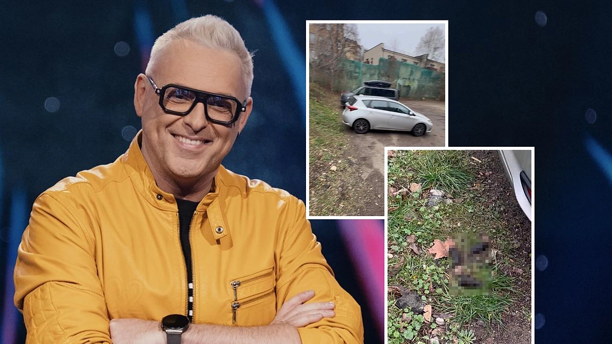 Egmontas Bžeskas, automobilių stovėjimo aikštelės vaizdas