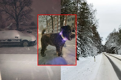 Lietuva metų pradžioje skęsta sniege: meteorologas įspėja – pasakė, kas laukia kitas dienas