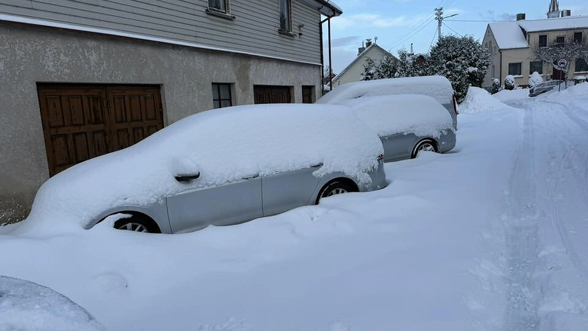 Sniegas Kretingoje / M.Ratomskytės nuotr.