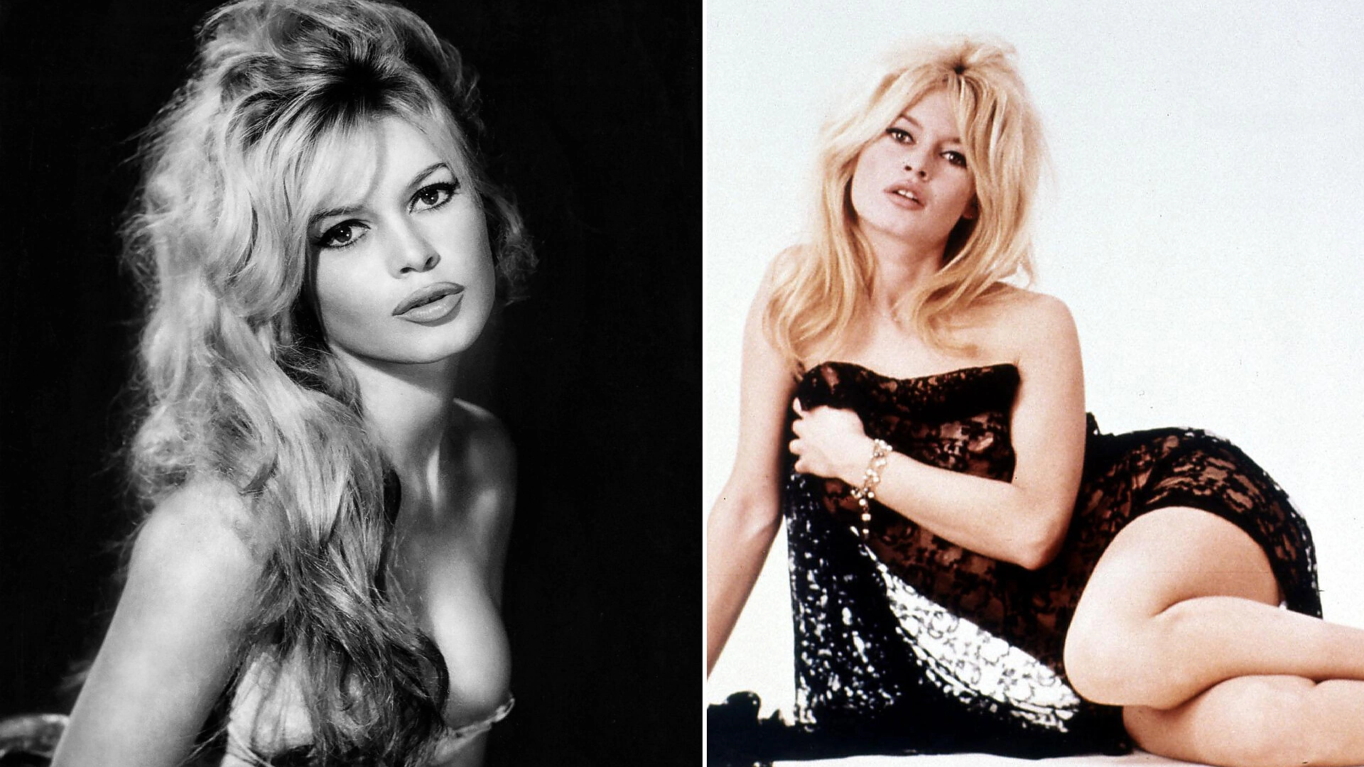 Brigitte Bardot / Getty nuotraukos