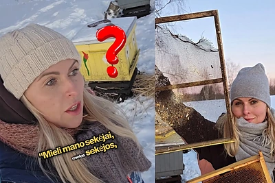 Po speigo nakties Rūtos Mikelkevičiūtės ūkyje – siaubingas reginys: „Vaizdas iki ašarų...“