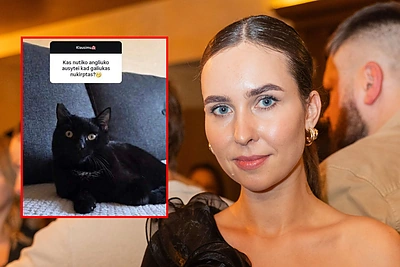 Influencerės įrašą apie sužalotą katiną išvydusi Fausta Marija rėžė – užkliuvo 1 dalykas: „Už tai ji gauna į zūbus“