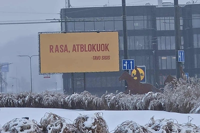 Paaiškėjo Kauną sujudinusios žinutės paslaptis: Rasa pagaliau atblokavo Sigį