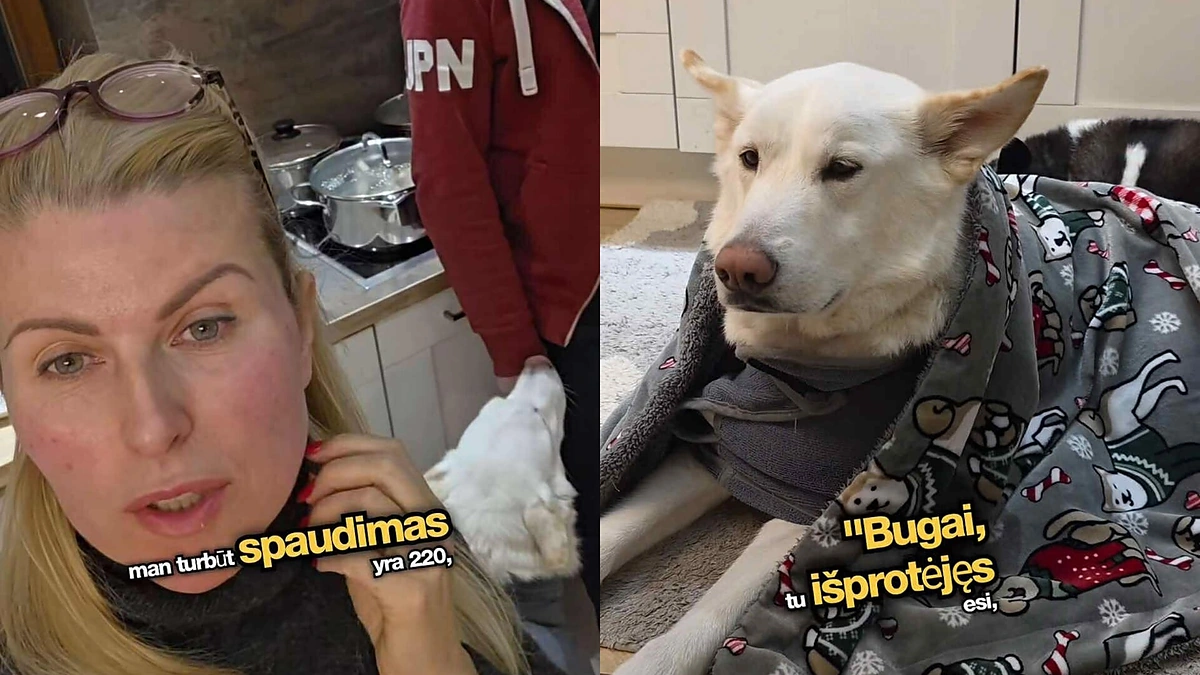 Rūta Mikelkevičiūtė ir jos šuo Bugas / Stop kadras