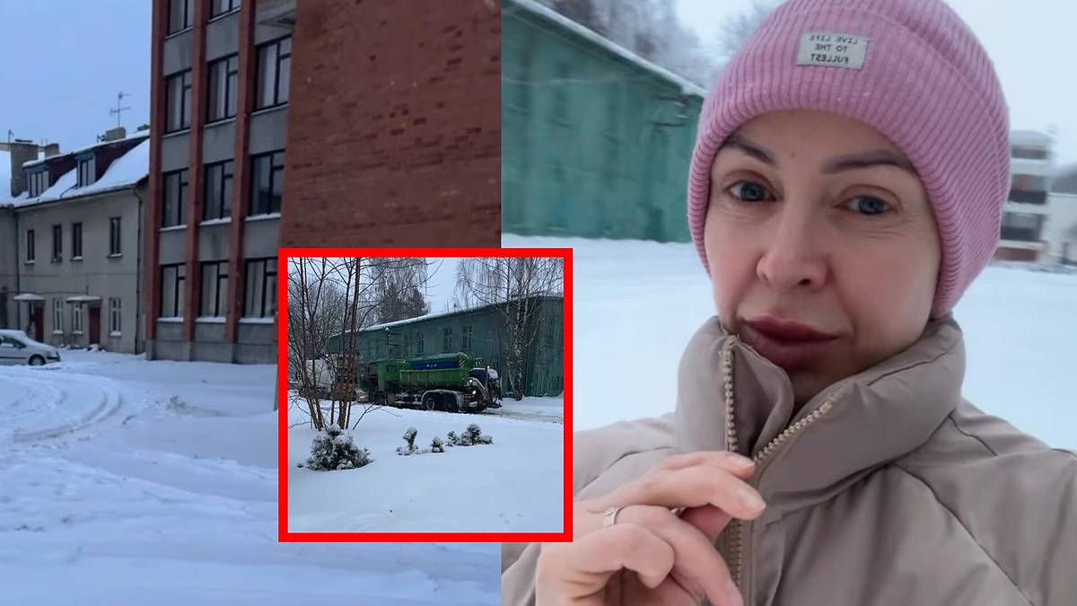 Rima Petrauskytė / Stop kadras