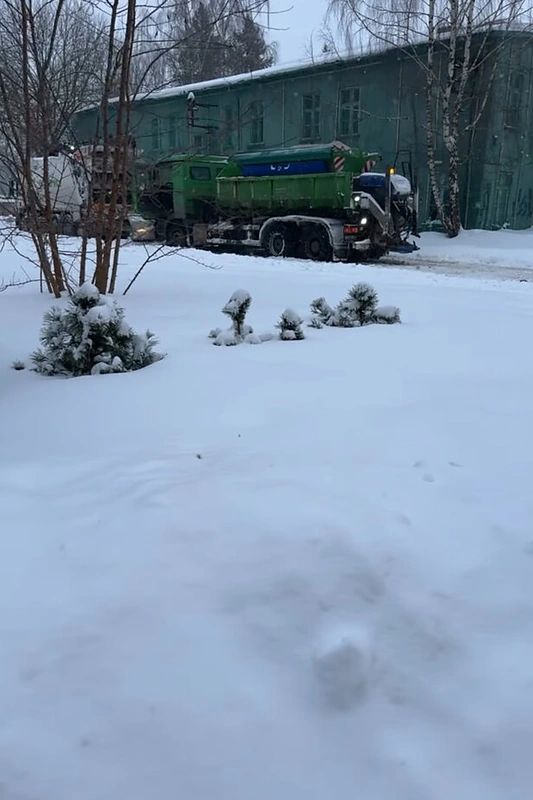 Rimos Petrauskytės kiemas / Stop kadras