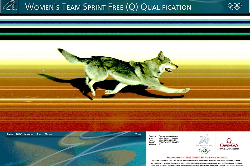 Šuo finišavo paskui kelias slidininkes olimpinėje trasoje. / „Reuters“/„Scanpix“ nuotr.