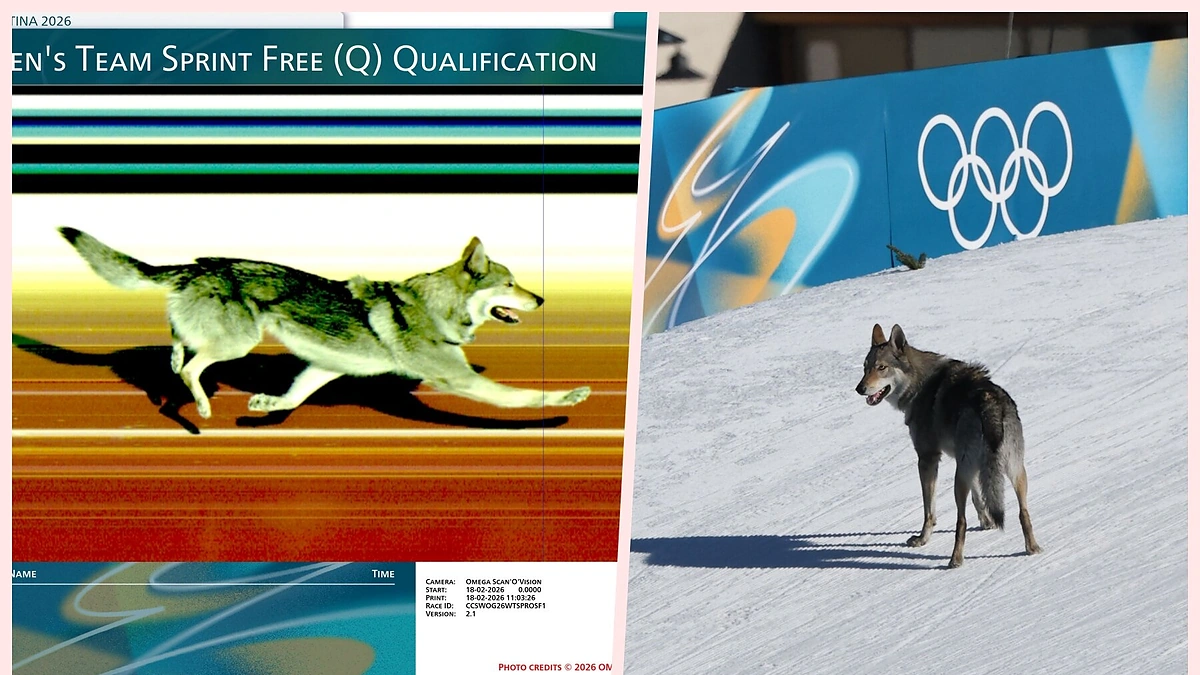 Šuo finišavo paskui kelias slidininkes olimpinėje trasoje. / AFP/„Scanpix“ nuotr.