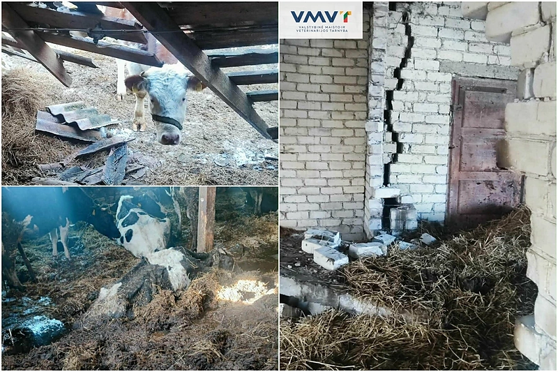 Vaizdas tvarte šokiravo / VMVT nuotr.