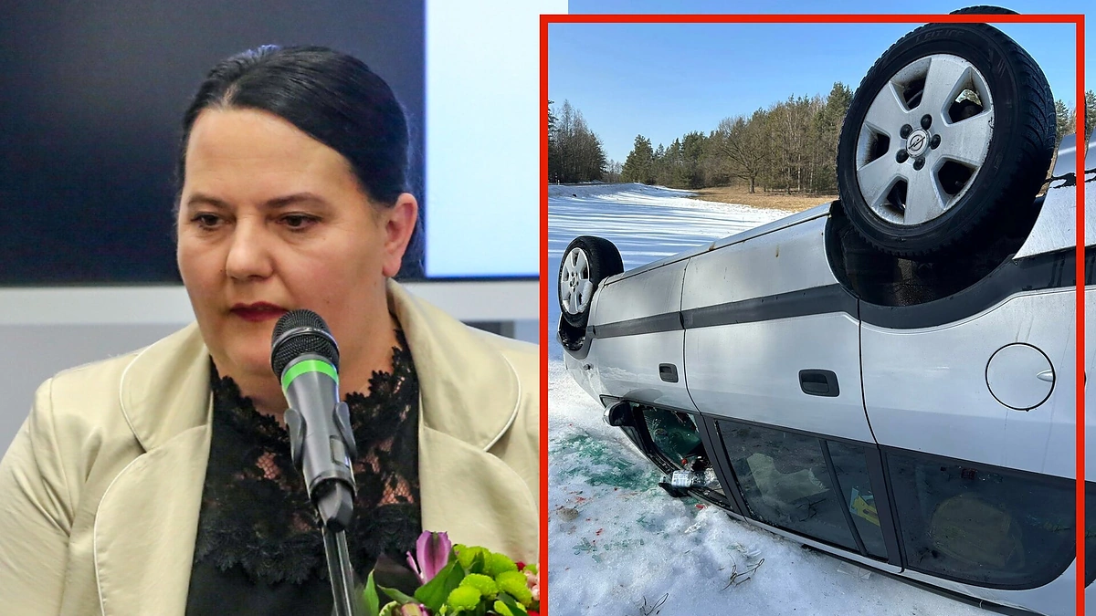 Vilma Danauskienė pateko į avariją / Žmonės.lt koliažas