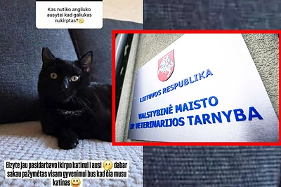 Skandale dėl influencerės katinui nukirptos ausies dalies – padėtas taškas: paaiškėjo tyrimo baigtis