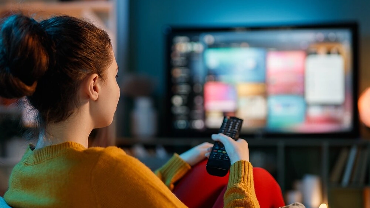 Televizija namuose / Shutterstock nuotr.