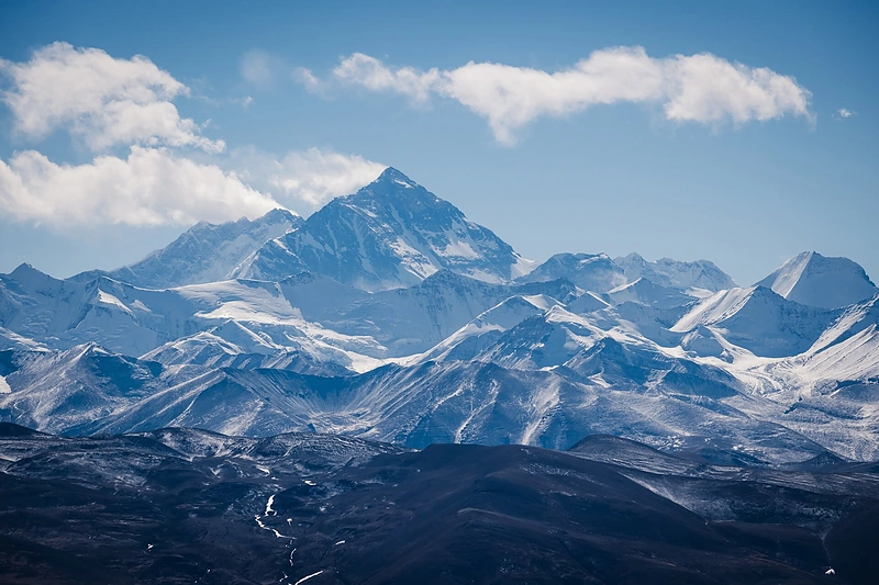 Everestas / Shutterstock nuotr.