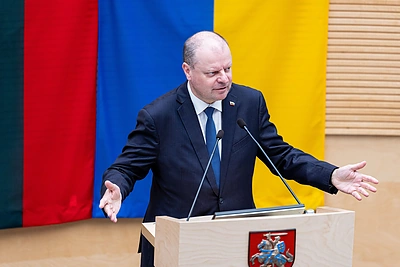 Saulius Skvernelis / Pauliaus Peleckio / BNS nuotr.