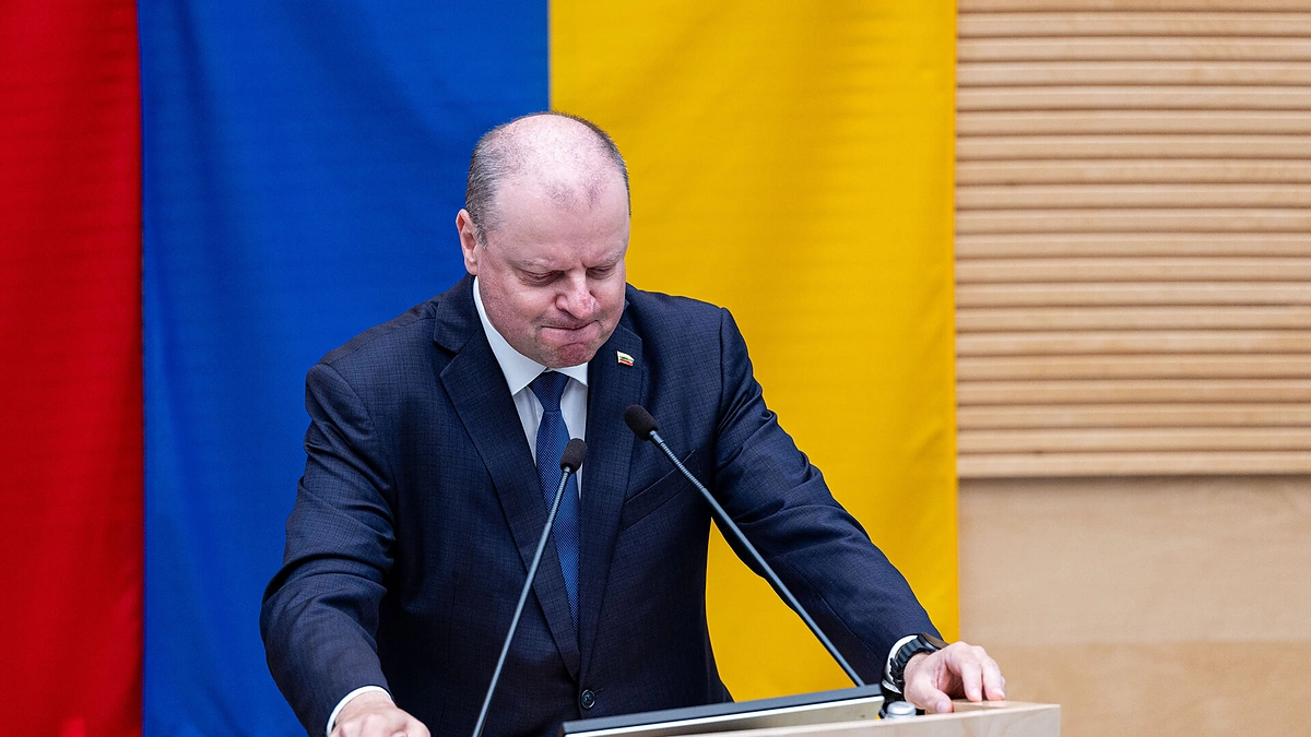 Saulius Skvernelis / Pauliaus Peleckio / BNS nuotr.