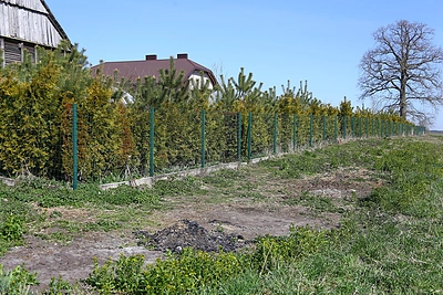 Sodyba, kurioje įvykdytas paramediko nužudymas / 15min nuotr.