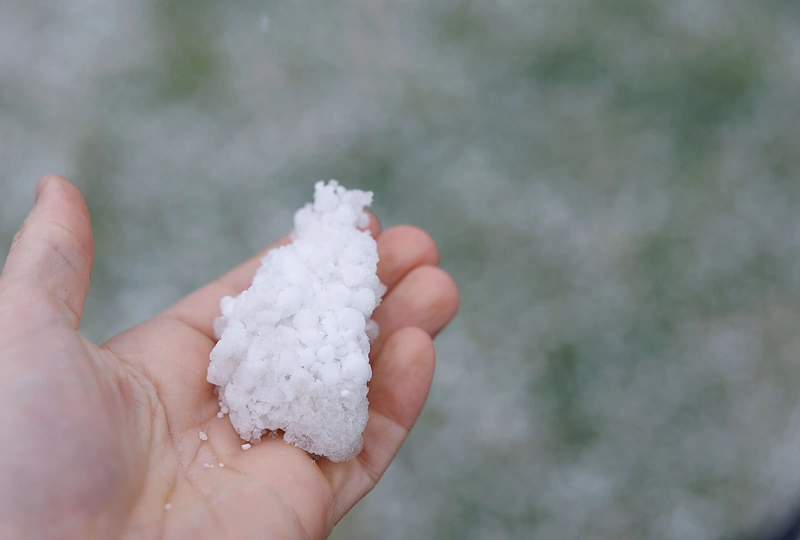 Sniegas balandžio mėnesio pabaigoje / Eriko Ovčarenko / BNS nuotr.