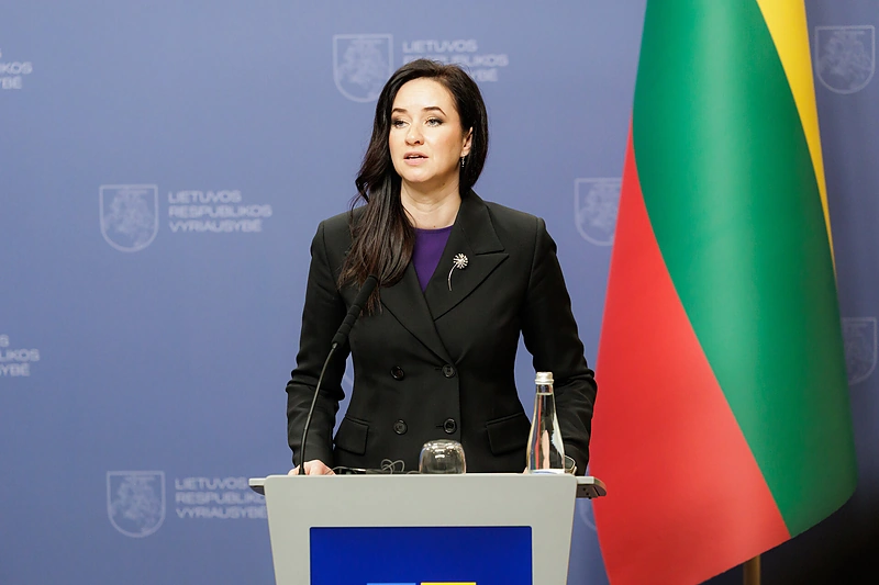Inga Ruginienė / Gretos Skaraitienės / BNS nuotr.