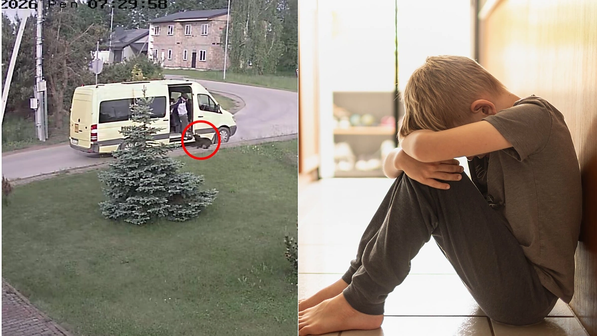 Neveronyse partrenktas šuo