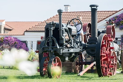 Ką nuveikti per Tėvo dieną: senoviniai automobiliai, rekordinė dešra ir dvariškos paslaptys / „Pakruojo dvaro“ nuotr.